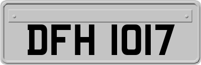 DFH1017