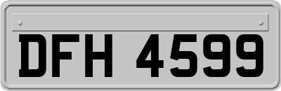 DFH4599