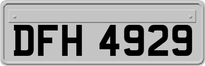 DFH4929