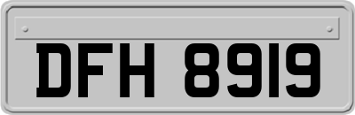 DFH8919