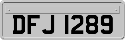 DFJ1289