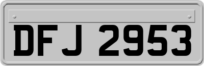 DFJ2953