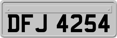 DFJ4254