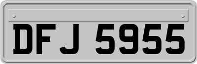 DFJ5955