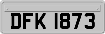 DFK1873