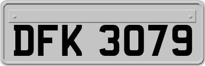 DFK3079