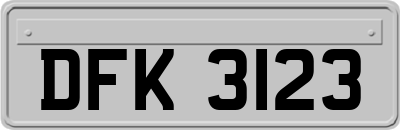 DFK3123