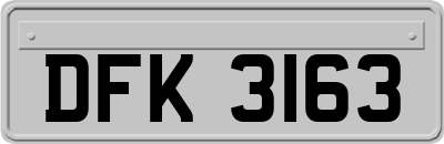 DFK3163