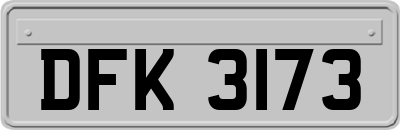 DFK3173