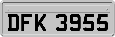 DFK3955
