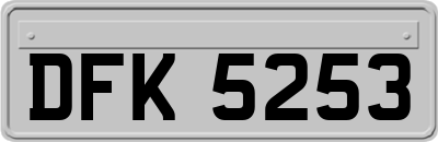 DFK5253