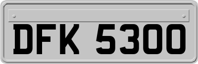DFK5300