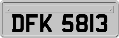 DFK5813