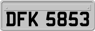 DFK5853