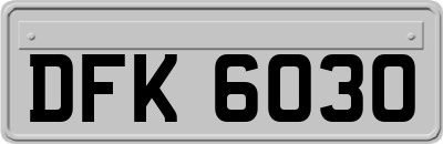 DFK6030