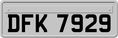 DFK7929