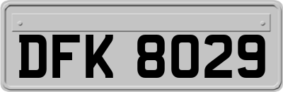 DFK8029