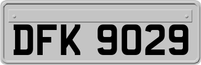 DFK9029