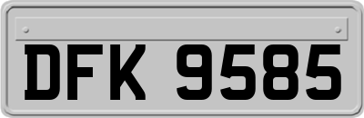 DFK9585