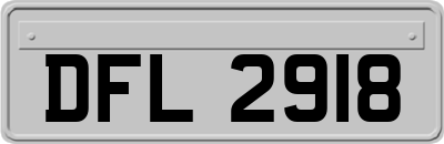 DFL2918