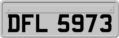 DFL5973