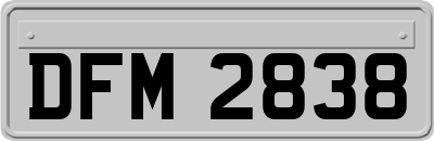 DFM2838