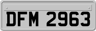 DFM2963