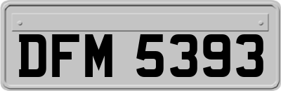 DFM5393