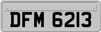 DFM6213