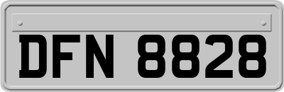 DFN8828