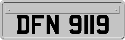 DFN9119