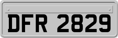 DFR2829