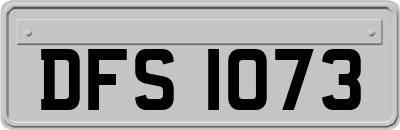 DFS1073