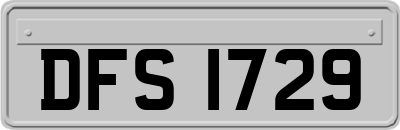 DFS1729