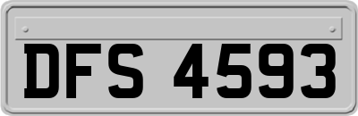 DFS4593
