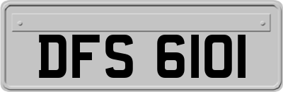 DFS6101