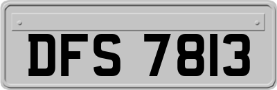 DFS7813