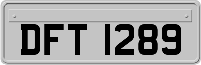 DFT1289