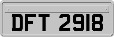 DFT2918