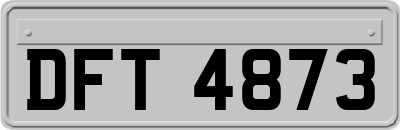 DFT4873