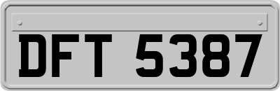 DFT5387
