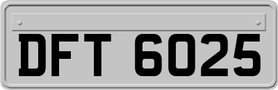 DFT6025