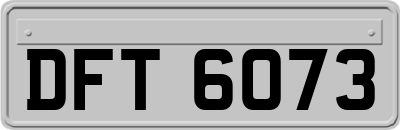 DFT6073