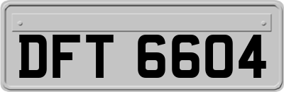 DFT6604