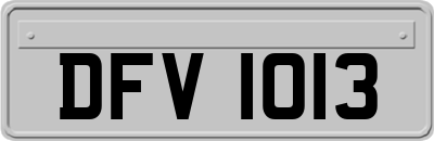 DFV1013