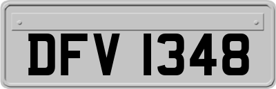 DFV1348