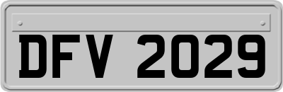 DFV2029