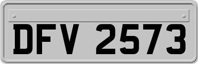 DFV2573