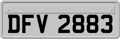 DFV2883