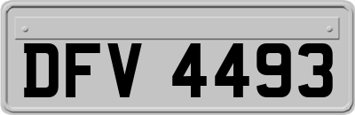 DFV4493